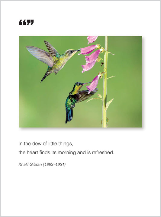 In the dew of little things  Get Well Greeting Card