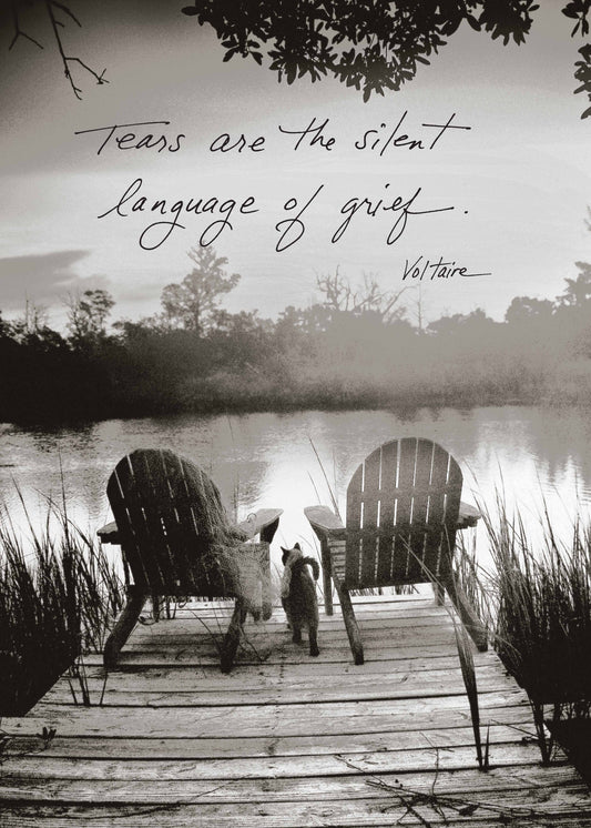 441PS: Tears Are the Silent Language of Grief. - Voltaire