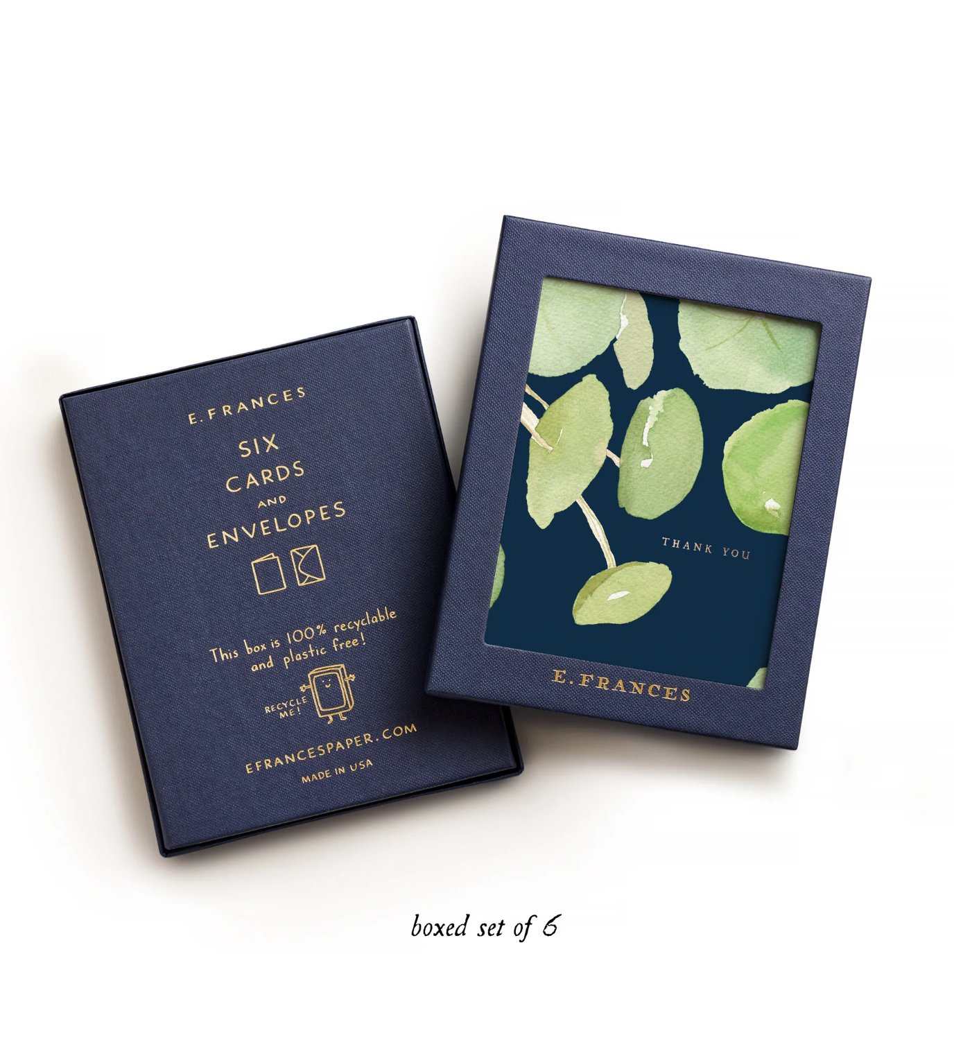 Pancake Plant Thank You Boxed Card Set