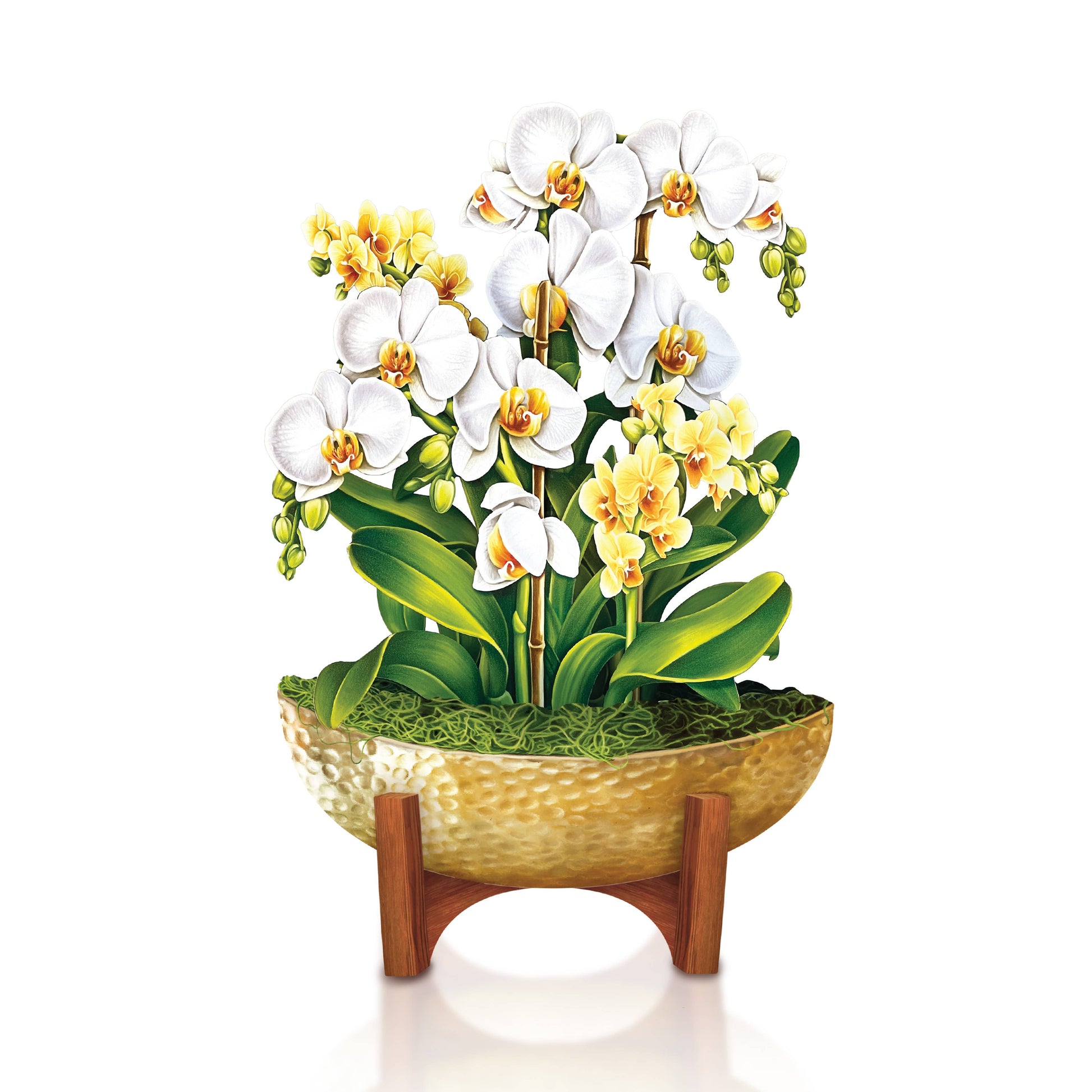 Mini Serenity Orchid Pop-up Card displaying white and yellow blossoms, a unique stationery item for home or office decor.