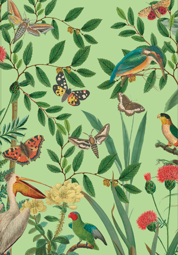 Birds and Butterflies Sympathy Card