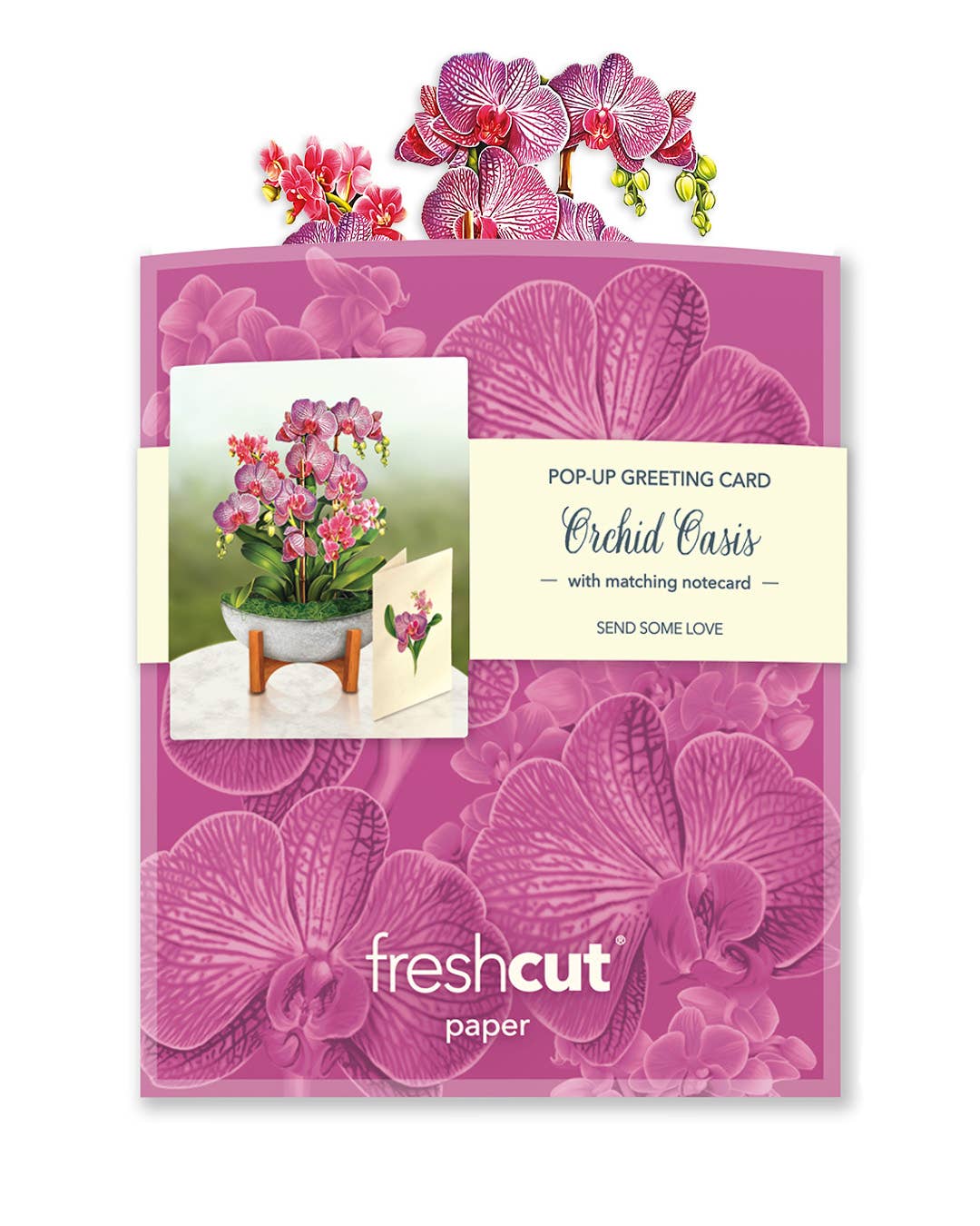 Mini Orchid Oasis Pop-up Greeting Card