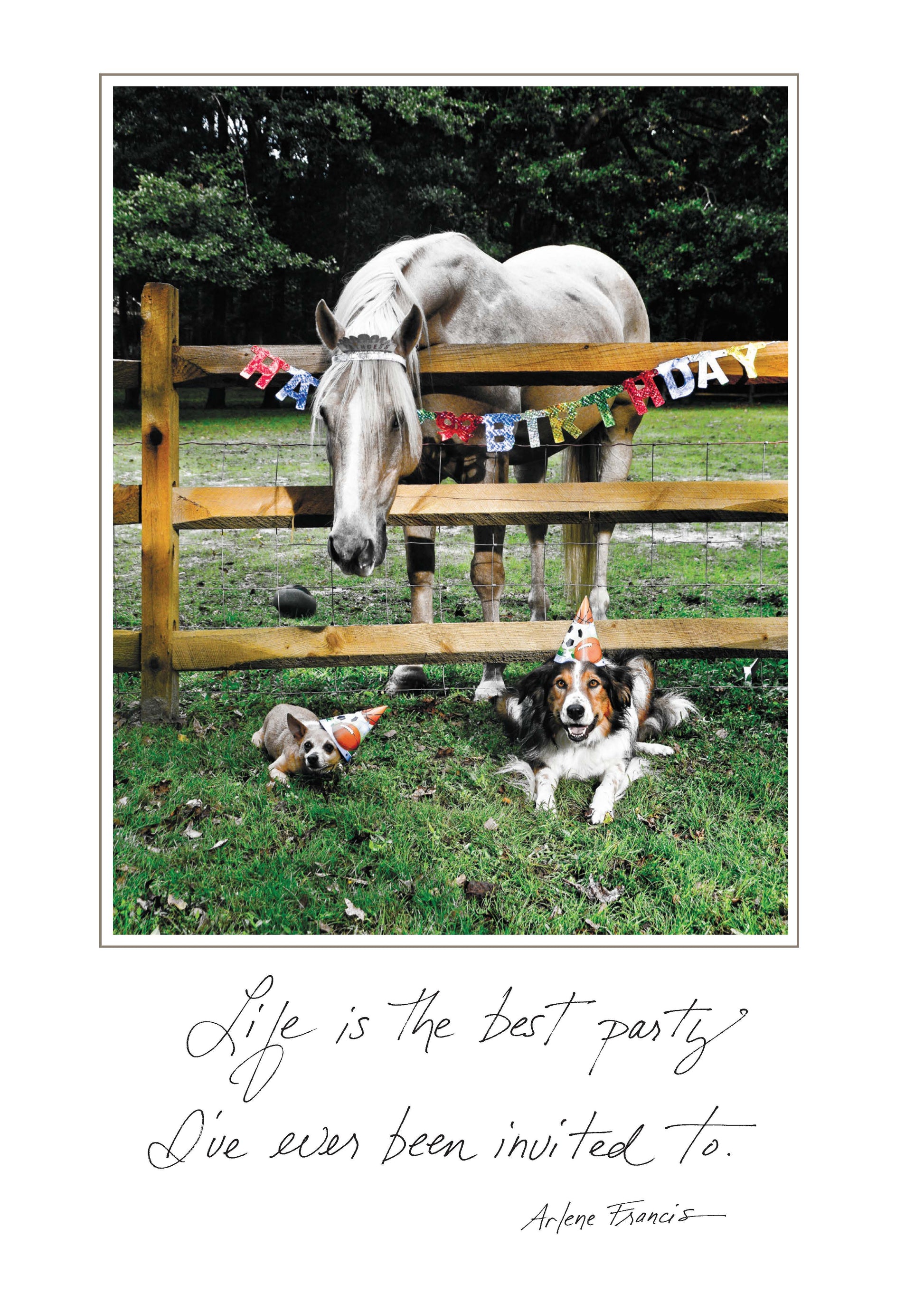 Alt Tag: "Birthday card from Stationery Store featuring horse and dogs with hats; Life is the best party quote by Arlene Frances"