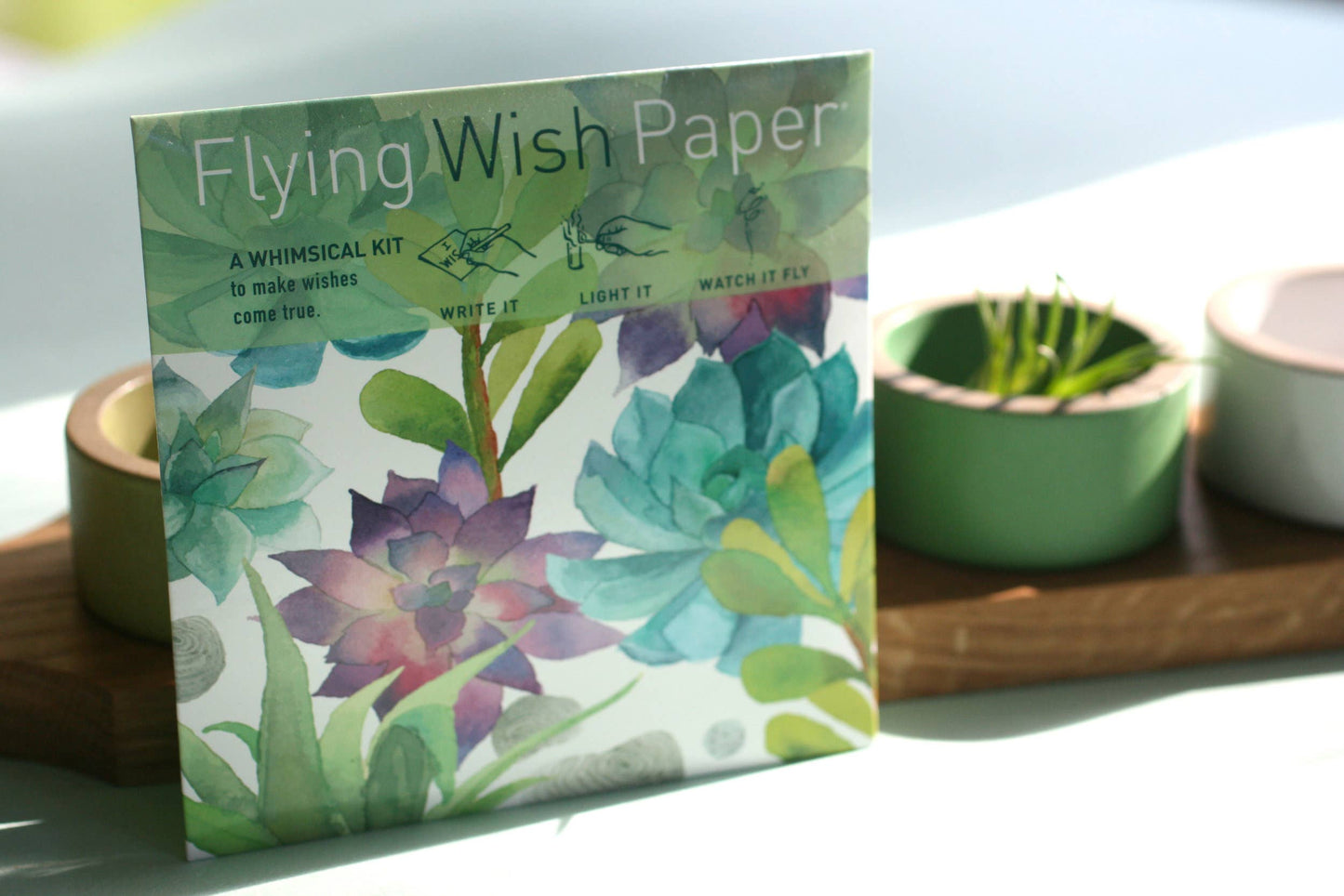 Cactus Garden Mini Kit with Flying Wish Paper, featuring a vibrant succulent design, ideal for stationery store offerings.