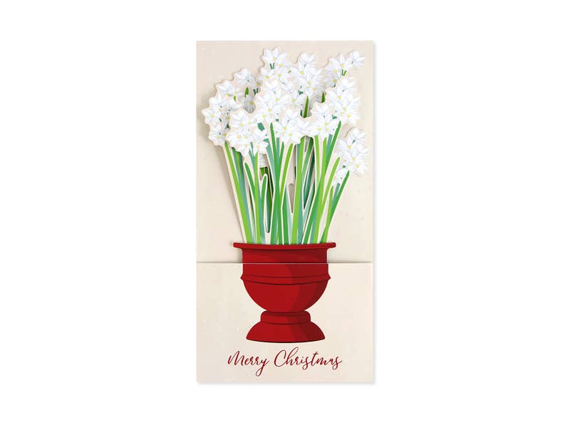 Christmas Paperwhites Boxed Card Set 6-Count
