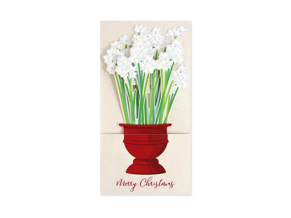 Christmas Paperwhites Boxed Card Set 6-Count
