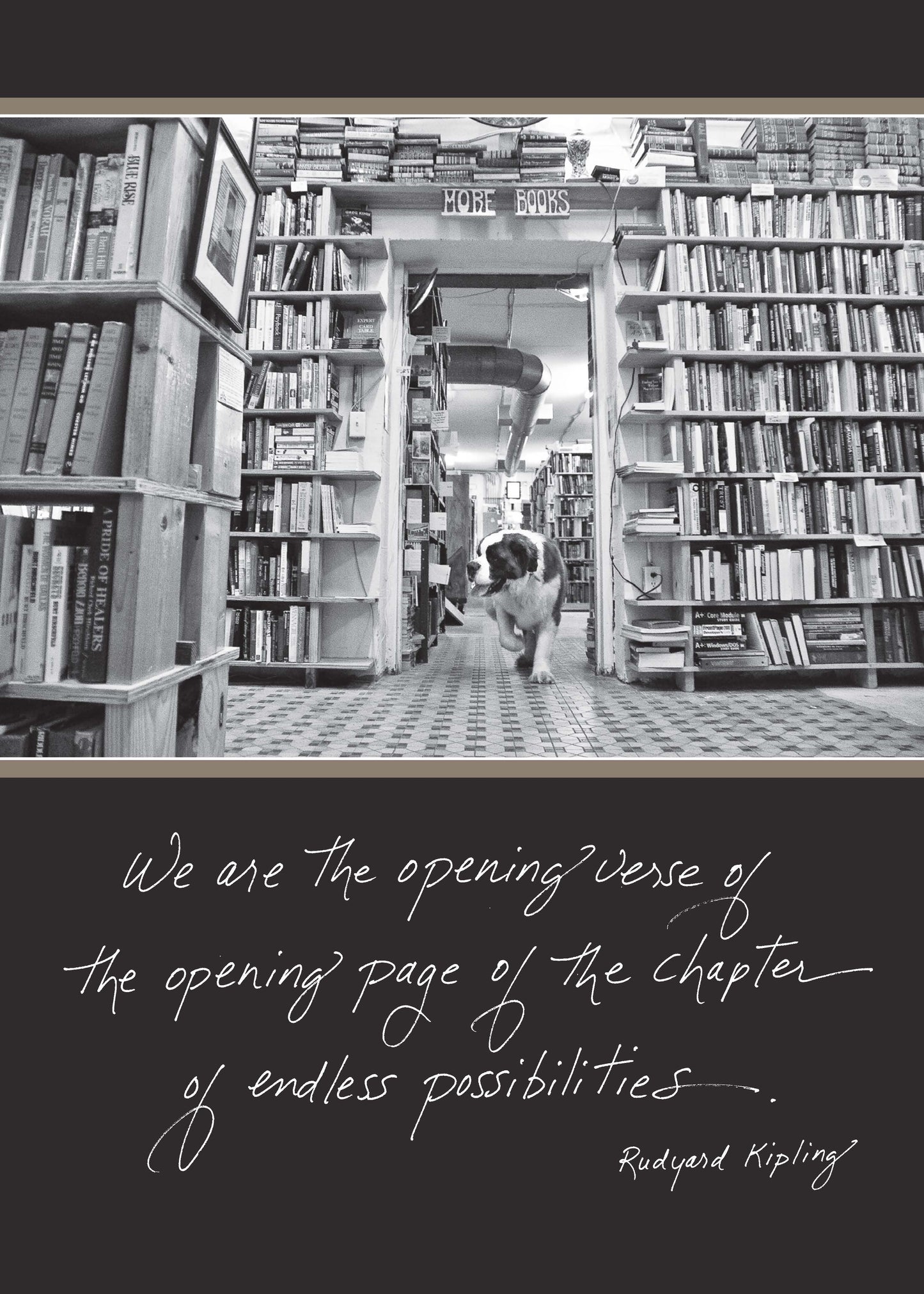 Bookstore aisle with a dog and books, featuring Kipling quote "Opening Verse of the Chapter of Endless Possibilities." Stationery store.