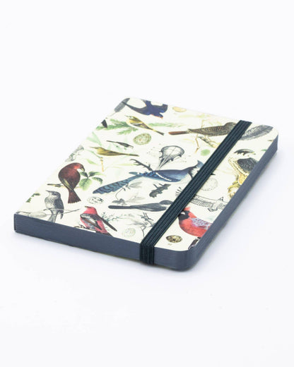 Birds & Feathers Observation Softcover notebook from stationery store, ideal for birdwatching, featuring colorful bird illustrations.