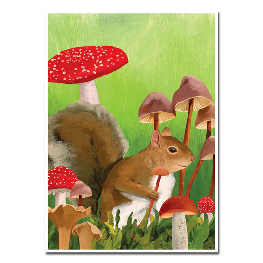 Mushrooms and Squirrel Birthday Card, 5x7 semi-gloss, designed by Scott Church. Available at stationery stores. Made in USA.