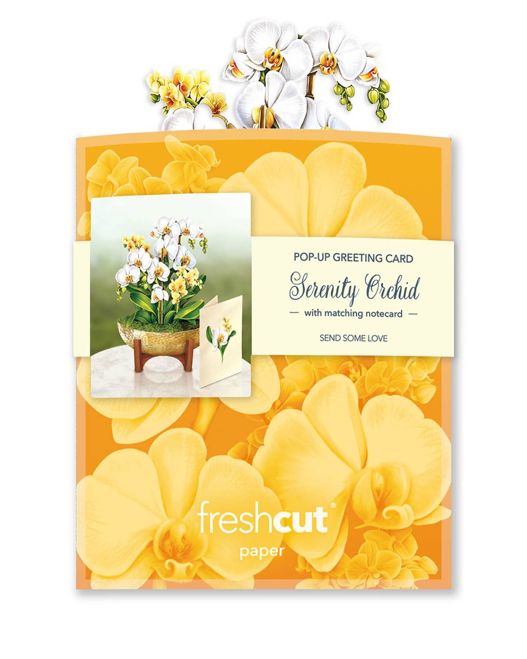 Mini Serenity Orchid pop-up greeting card with matching note card and envelope, sold by Stationery Store.