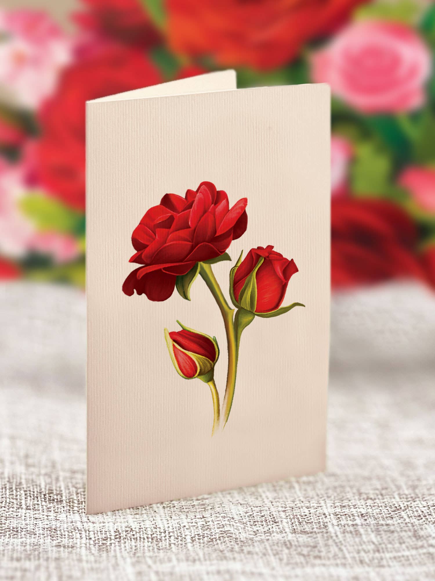 Blooming Roses Pop Up Greeting Card with red blooms, perfect poetic gift from stationery store.