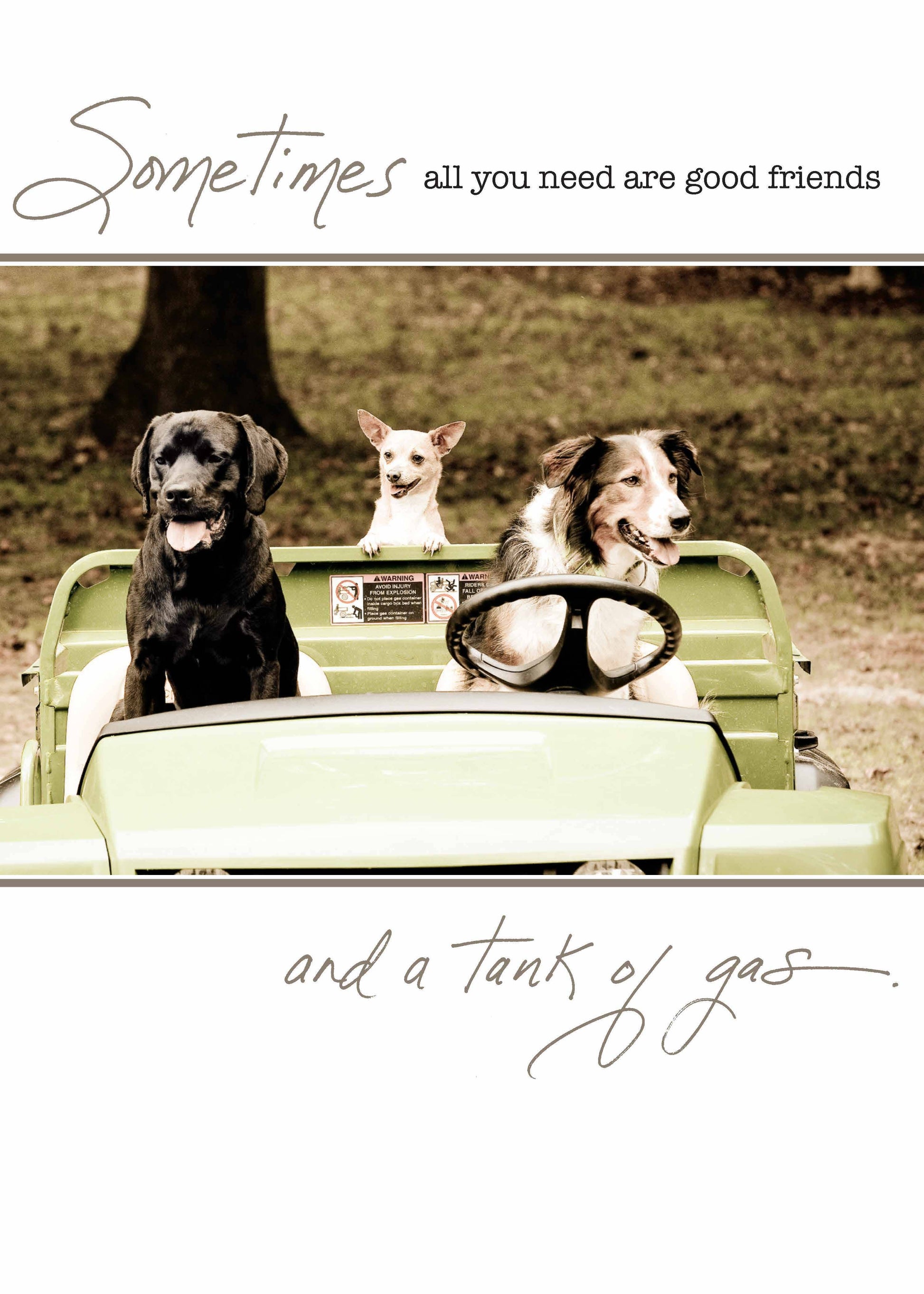 Three dogs in a green car with "Sometimes all you need are good friends and a tank of gas" quote. Stationery store birthday card.