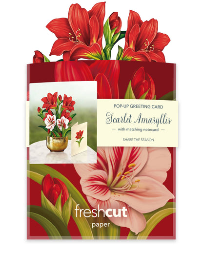 Mini Scarlett Amaryllis Pop-up Greeting Card