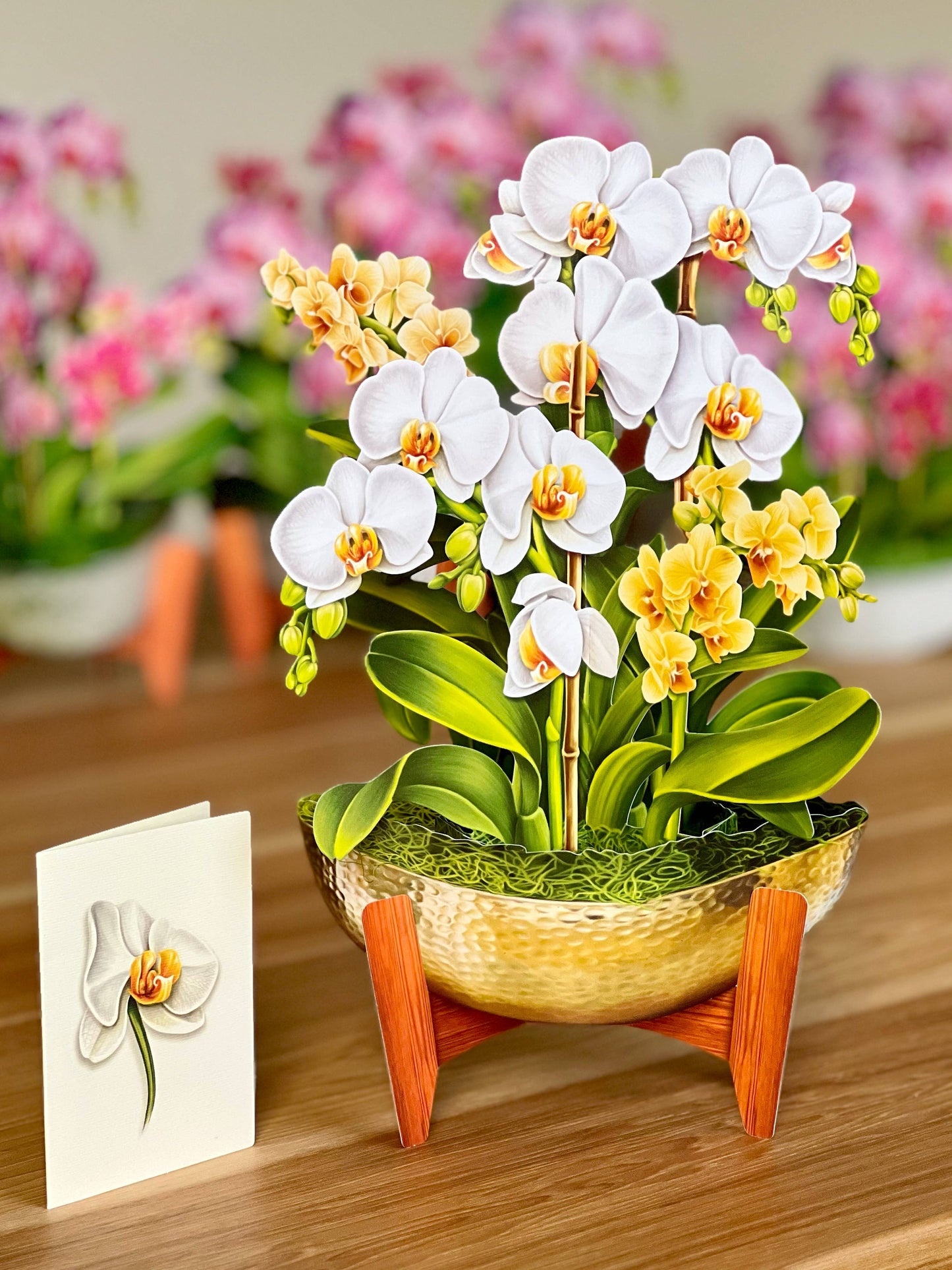 Serenity Orchid Pop-up Greeting Card