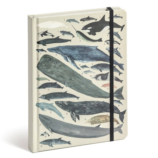 Orders of the Animals High Note Journal with marine art, soft-touch cover, and elastic closure from stationery store.