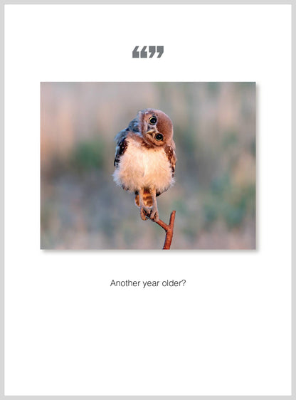 Year older Birthday Greeting Card