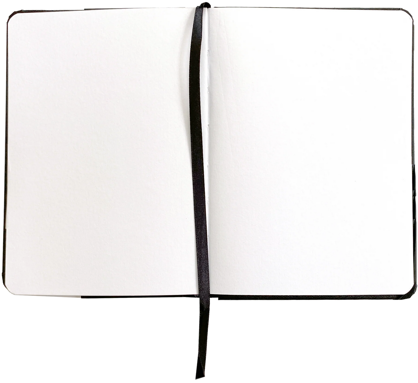 Field Sketchbook