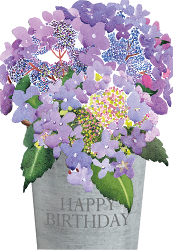 Hydrangeas In Bucket Foil - Birthday/die-Cut Foil