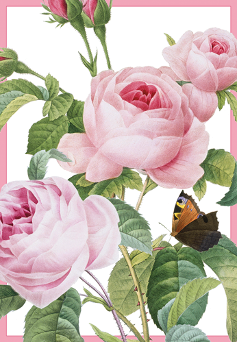 Pink Roses Anniversary Card