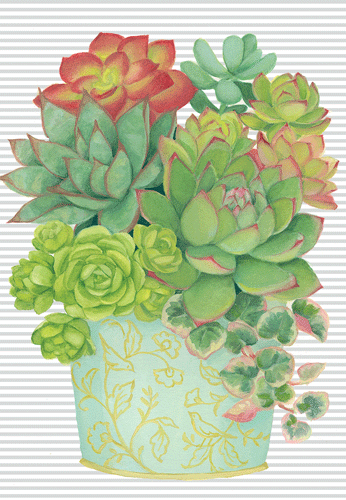 Potted Succculents - Birthday Card
