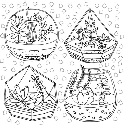 Artist Coloring Book Studio Series - Succulents - available at Occasions Just Write