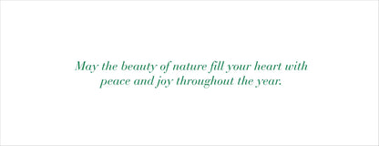 Winter Forest Friends Panoramic Boxed Holiday Cards