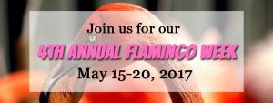 flamingo week 2017 blog