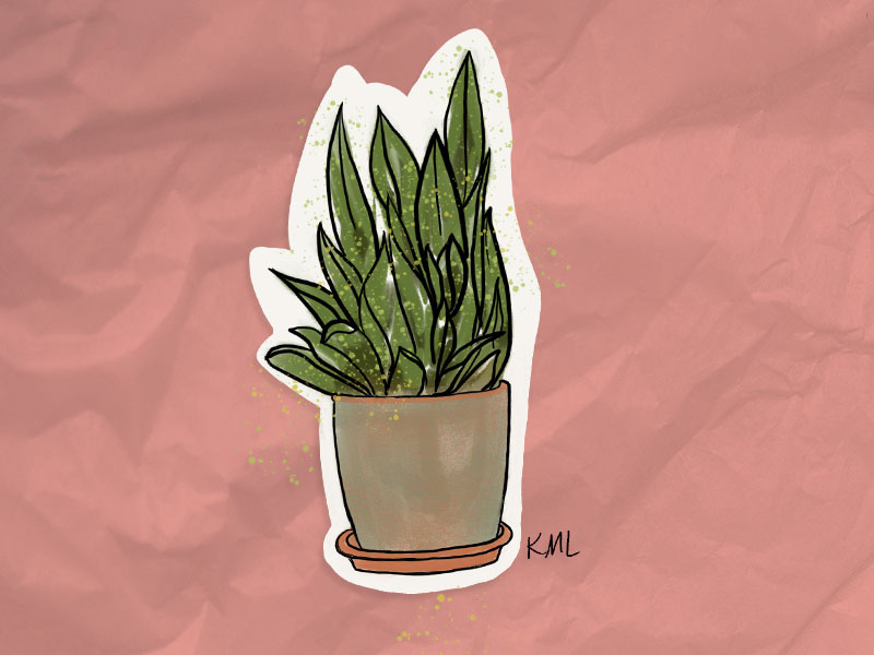 house plant sticker