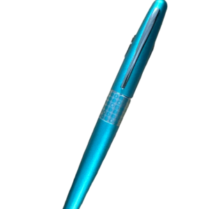platignum fountain pen