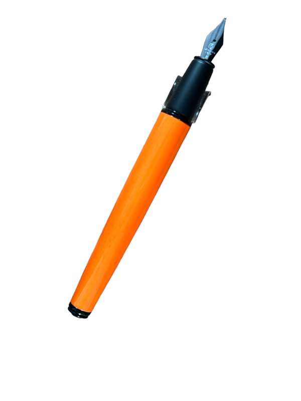 platignum fountain pen orange