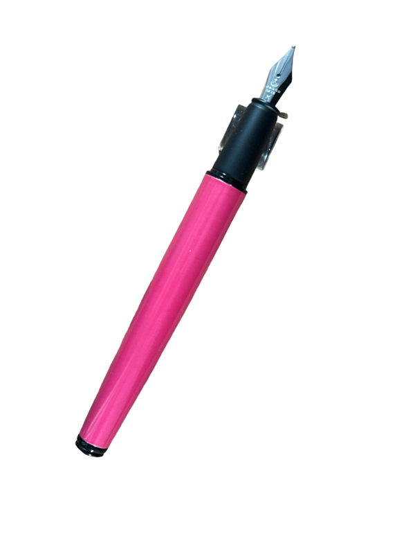 platignum fountain pen pink
