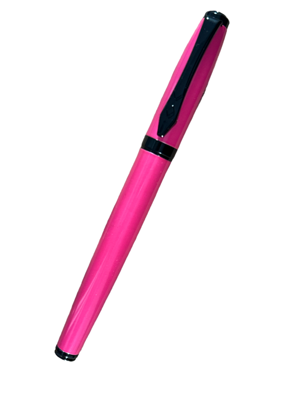 platignum fountain pen pink medium