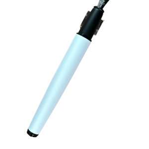 platignum fountain pen white