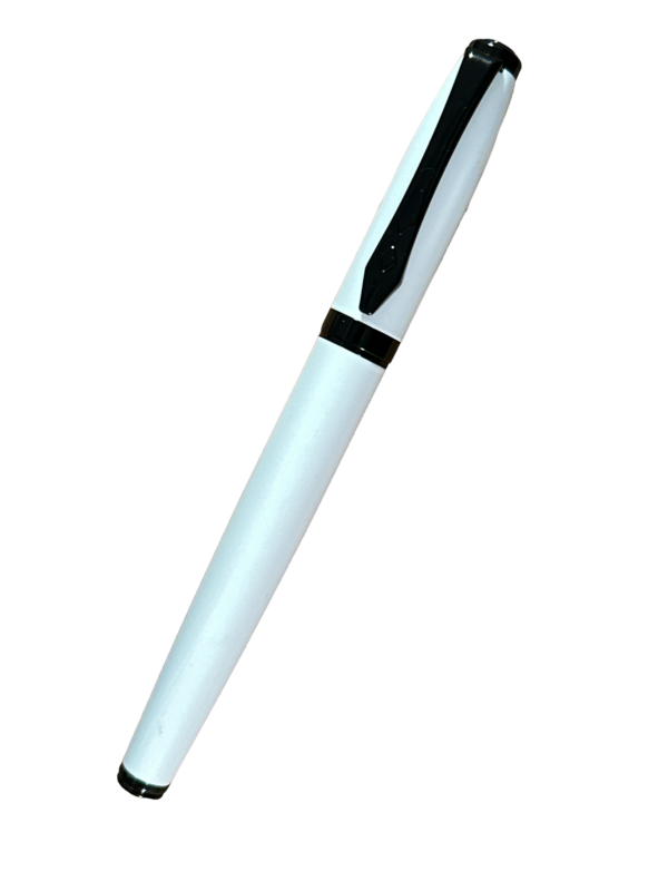 platignum fountain pen white medium
