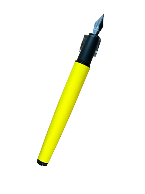 platignum fountain pen yellow